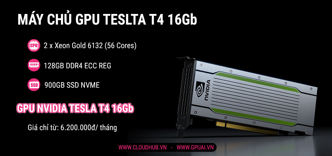 Máy chủ GPU Tesla T4