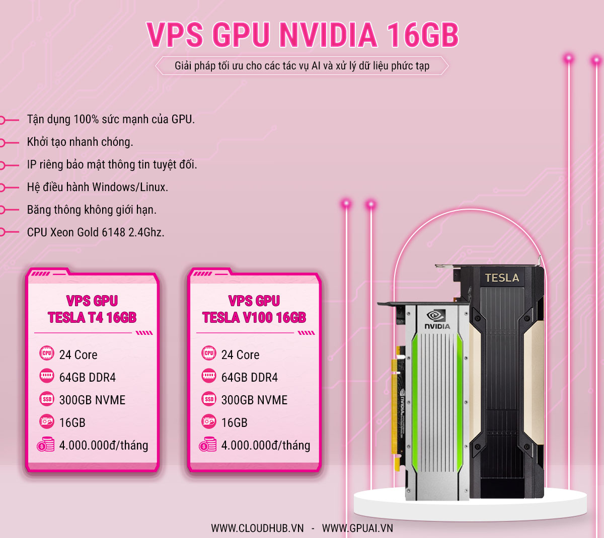 VPS GPU NVIDIA TESLA 16GB